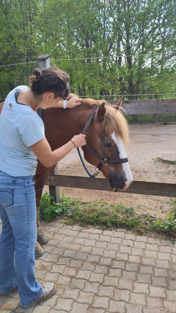 Massage & Bewegungstraining