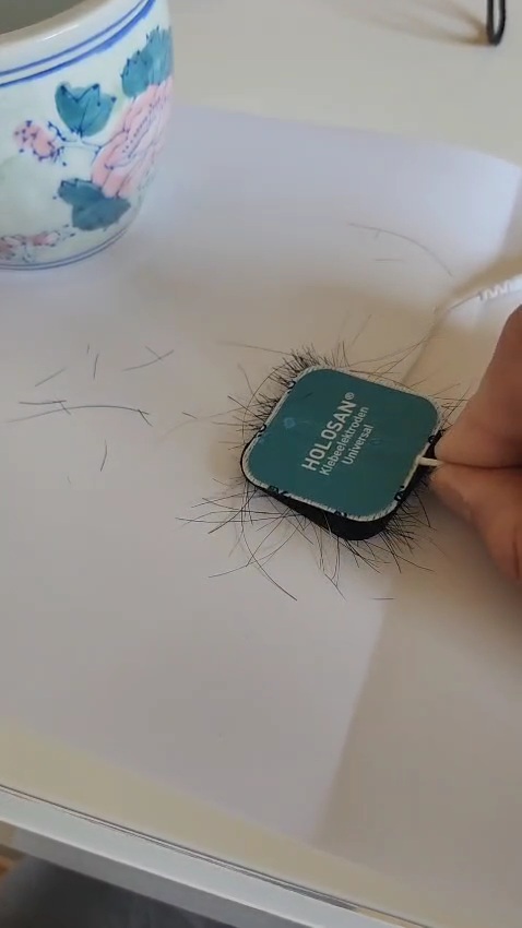 Haarprobe auf der Elektrode