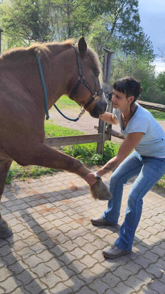 Kathi Till bei der Massage am Vorderbein eines Pferdes